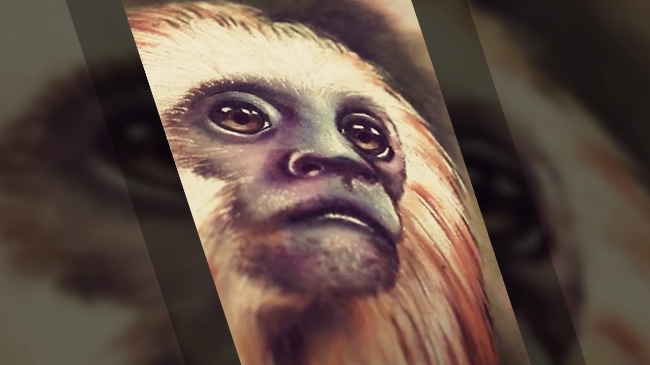 Hyper-Realistic Animal Portrait in Colour with Mick Squires